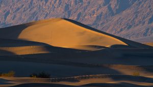 Mesquite Dunes, Death Valley NP